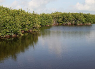 Transparencia y participación ciudadana para la sostenibilidad de los recursos naturales Transparencia y participación ciudadana para la sostenibilidad de los recursos naturales