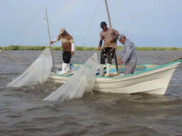 Persisten deficiencias en el funcionamiento de Bienpesca