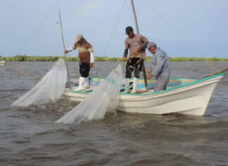 Persisten deficiencias en el funcionamiento de Bienpesca Persisten deficiencias en el funcionamiento de Bienpesca