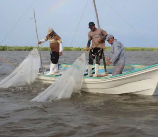 Persisten deficiencias en el funcionamiento de Bienpesca Persisten deficiencias en el funcionamiento de Bienpesca