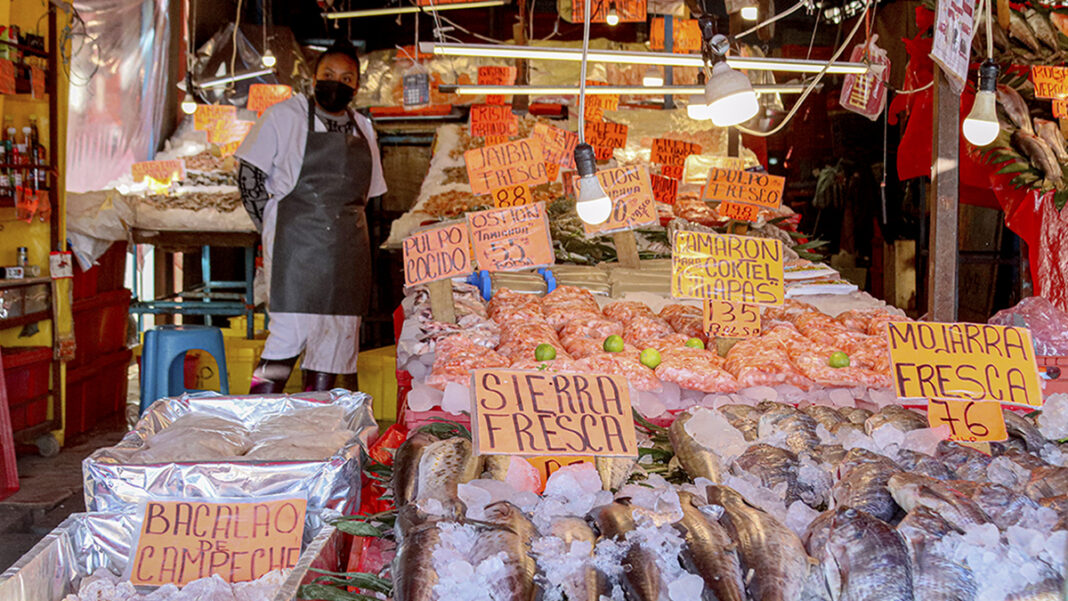 Una búsqueda ciudadana de pescados, mariscos y sustentabilidad