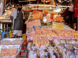 Una búsqueda ciudadana de pescados, mariscos y sustentabilidad