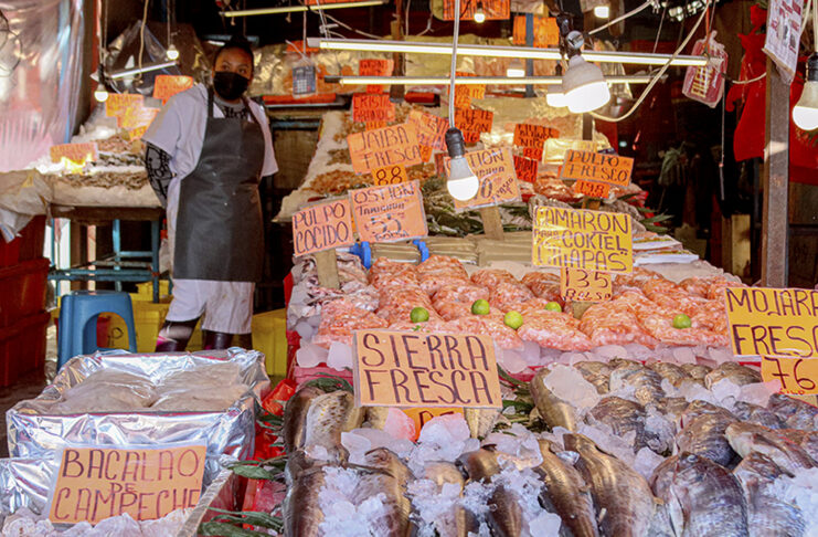 Una búsqueda ciudadana de pescados, mariscos y sustentabilidad