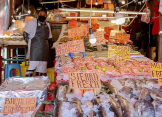 Una búsqueda ciudadana de pescados, mariscos y sustentabilidad Una búsqueda ciudadana de pescados, mariscos y sustentabilidad