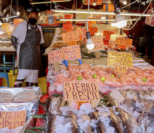 Una búsqueda ciudadana de pescados, mariscos y sustentabilidad Una búsqueda ciudadana de pescados, mariscos y sustentabilidad