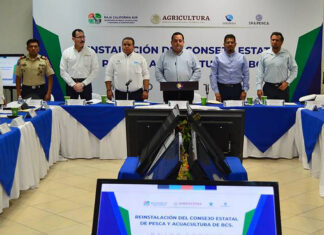 Mejorar la coordinación entre Consejos y Comités de pesca fortalece el manejo sostenible de los recursos pesqueros Mejorar la coordinación entre Consejos y Comités de pesca fortalece el manejo sostenible de los recursos pesqueros