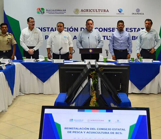 Mejorar la coordinación entre Consejos y Comités de pesca fortalece el manejo sostenible de los recursos pesqueros Mejorar la coordinación entre Consejos y Comités de pesca fortalece el manejo sostenible de los recursos pesqueros