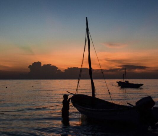 Instituciones inclusivas en el estado de Yucatán pueden ser clave para salvar al mero de su colapso (Parte II) Instituciones inclusivas en el estado de Yucatán pueden ser clave para salvar al mero de su colapso (Parte II)