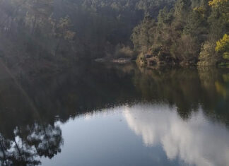 Un compromiso cumplido con la transparencia en recursos naturales Un compromiso cumplido con la transparencia en recursos naturales