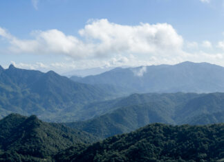 La “regresividad” del derecho humano a un medio ambiente sano en México La “regresividad” del derecho humano a un medio ambiente sano en México