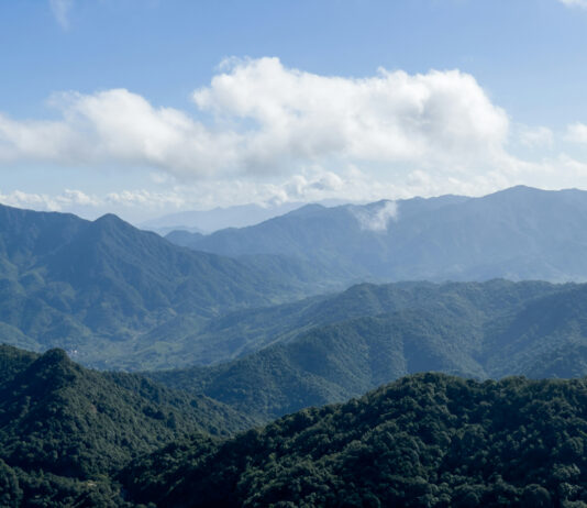 La “regresividad” del derecho humano a un medio ambiente sano en México La “regresividad” del derecho humano a un medio ambiente sano en México