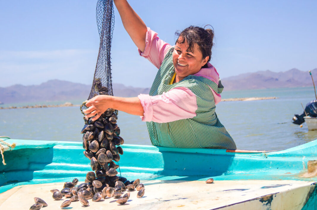 Bienpesca 2022: nueva operación del subsidio pesquero
