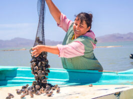 Bienpesca 2022: nueva operación del subsidio pesquero