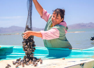 Bienpesca 2022: nueva operación del subsidio pesquero Bienpesca 2022: nueva operación del subsidio pesquero