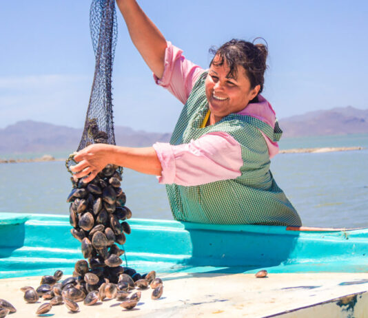 Bienpesca 2022: nueva operación del subsidio pesquero Bienpesca 2022: nueva operación del subsidio pesquero