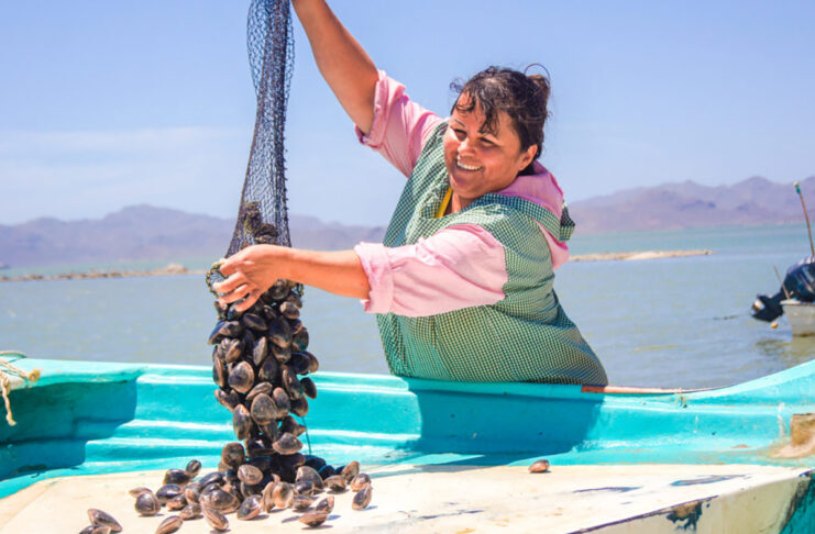 Bienpesca 2022: nueva operación del subsidio pesquero