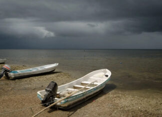 Los claroscuros de la transparencia pesquera Los claroscuros de la transparencia pesquera