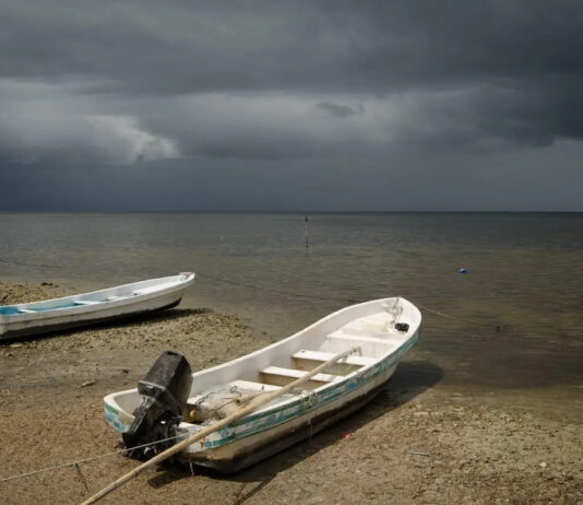Los claroscuros de la transparencia pesquera Los claroscuros de la transparencia pesquera