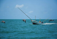 Lanzamiento de la evaluación TAKING STOCK: Transparencia del gobierno en las pesquerías marinas de México Lanzamiento de la evaluación TAKING STOCK: Transparencia del gobierno en las pesquerías marinas de México