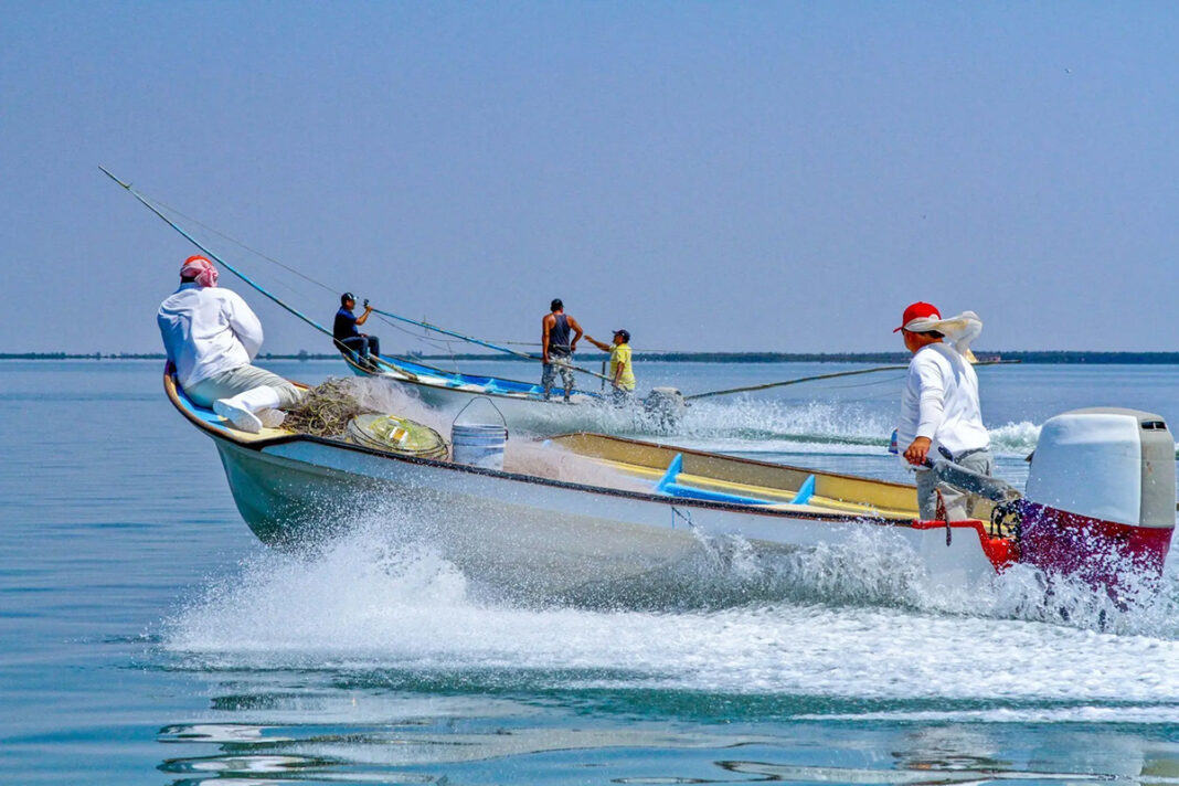 Conapesca 2021: acciones y resultados para el combate a la pesca ilegal