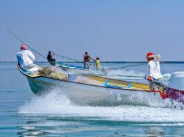 Conapesca 2021: acciones y resultados para el combate a la pesca ilegal