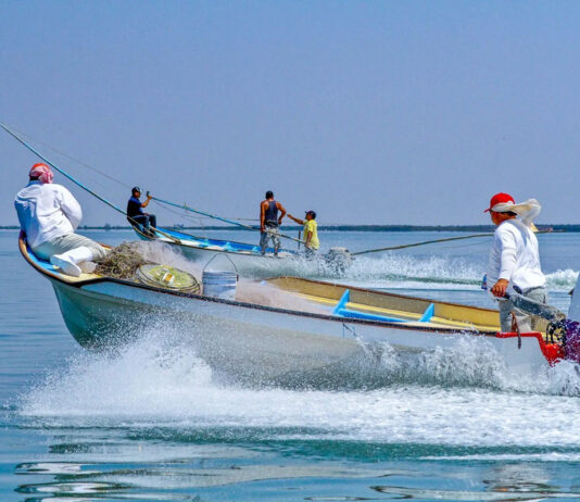Conapesca 2021: acciones y resultados para el combate a la pesca ilegal Conapesca 2021: acciones y resultados para el combate a la pesca ilegal