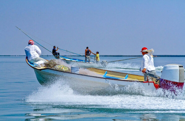 Conapesca 2021: acciones y resultados para el combate a la pesca ilegal