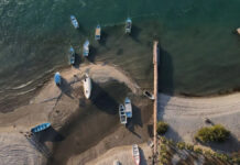 Grupo de Monitoreo de Transparencia Sector Pesca: avances y retos Grupo de Monitoreo de Transparencia Sector Pesca: avances y retos