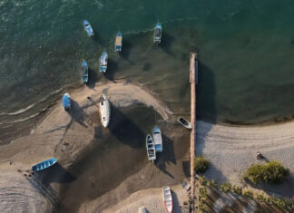 Grupo de Monitoreo de Transparencia Sector Pesca: avances y retos Grupo de Monitoreo de Transparencia Sector Pesca: avances y retos