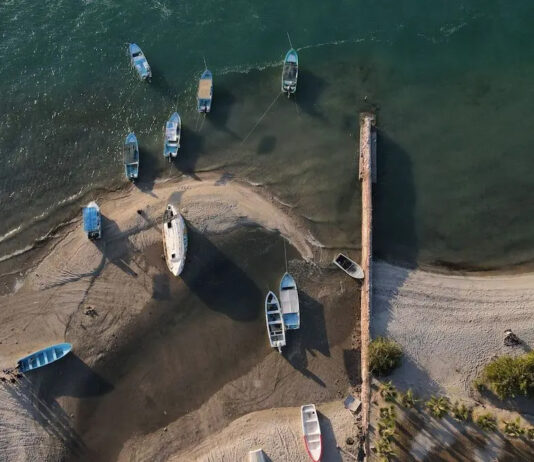 Grupo de Monitoreo de Transparencia Sector Pesca: avances y retos Grupo de Monitoreo de Transparencia Sector Pesca: avances y retos