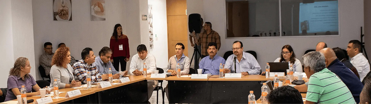Retos en la consolidación de Consejos Consultivos de México en el sector rural y de medio ambiente