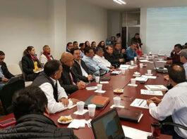 Retos en la consolidación de Consejos Consultivos de México en el sector rural y de medio ambiente