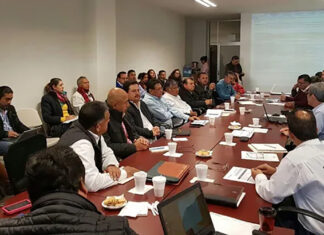 Retos en la consolidación de Consejos Consultivos de México en el sector rural y de medio ambiente Retos en la consolidación de Consejos Consultivos de México en el sector rural y de medio ambiente