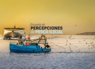 Percepciones de pesca ilegal