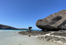 Diagnóstico de la Operación del Consejo Asesor del Apff Balandra 2023 Diagnóstico de la Operación del Consejo Asesor del Apff Balandra 2023