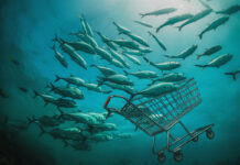 Del mar al supermercado: La venta de pescados y mariscos sostenibles