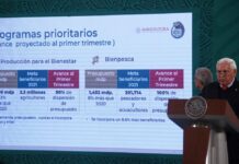 Una deuda con el sector pesquero y acuícola, ¿Qué tanto de lo que prometió AMLO se cumplió?