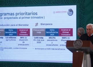 Una deuda con el sector pesquero y acuícola, ¿Qué tanto de lo que prometió AMLO se cumplió? Una deuda con el sector pesquero y acuícola, ¿Qué tanto de lo que prometió AMLO se cumplió?