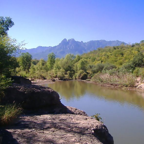 APFF Sierra de Álamos-Río Cuchujaqui: