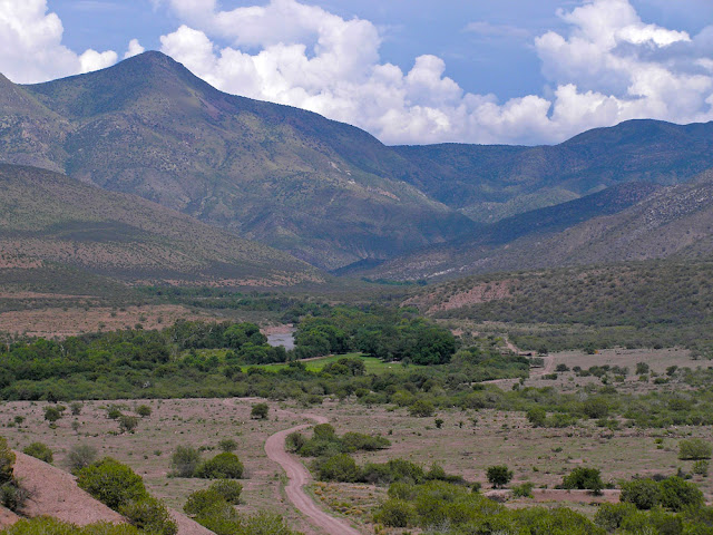 Área de Protección de Flora y Fauna (APFF) Bavispe