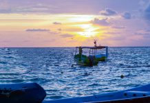 Construyendo sostenibilidad en la cadena pesquera mexicana