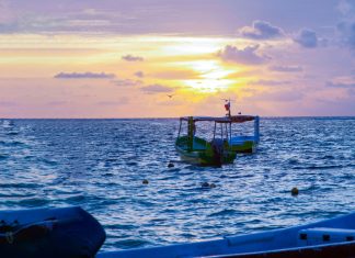 Construyendo sostenibilidad en la cadena pesquera mexicana