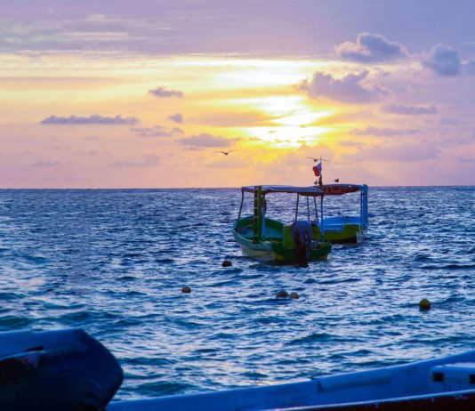 Construyendo sostenibilidad en la cadena pesquera mexicana