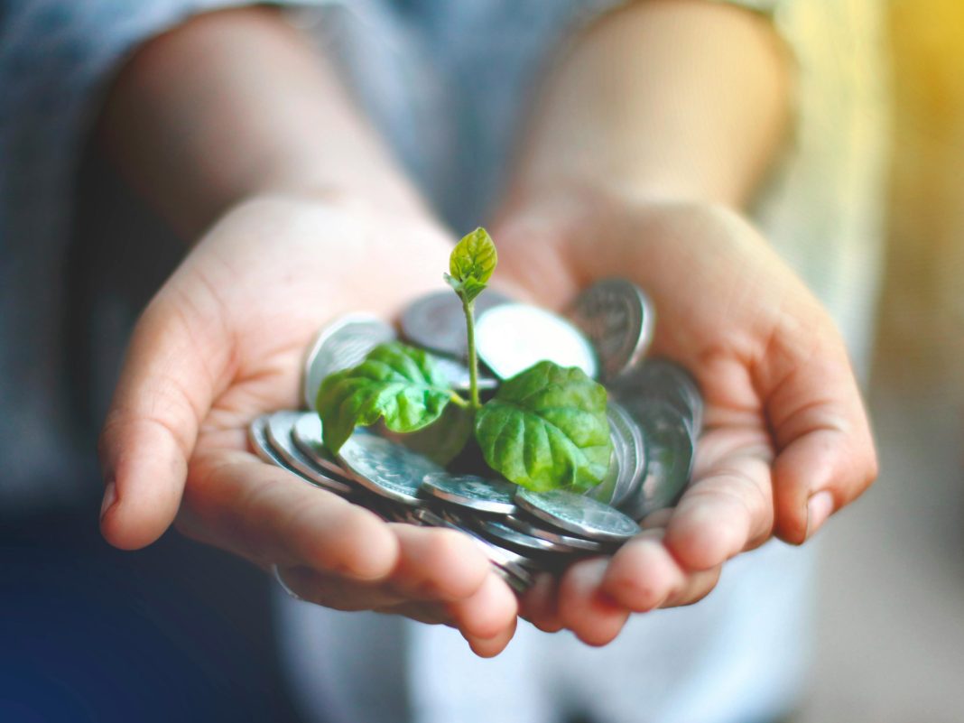 pexels-akilmazumder-5550904-edit