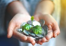 Programas de conservación como pilares de la gobernanza ambiental frente a recortes presupuestales