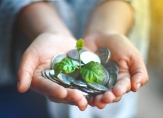 Programas de conservación como pilares de la gobernanza ambiental frente a recortes presupuestales