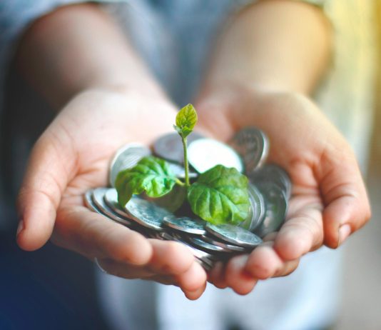 Programas de conservación como pilares de la gobernanza ambiental frente a recortes presupuestales