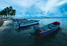 Guía de Predictor de riesgo de pesca ilegal