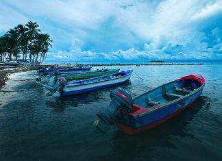 Guía de Predictor de riesgo de pesca ilegal