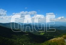 De la evaluación a la acción: testimonios de éxito de la metodología GAGE